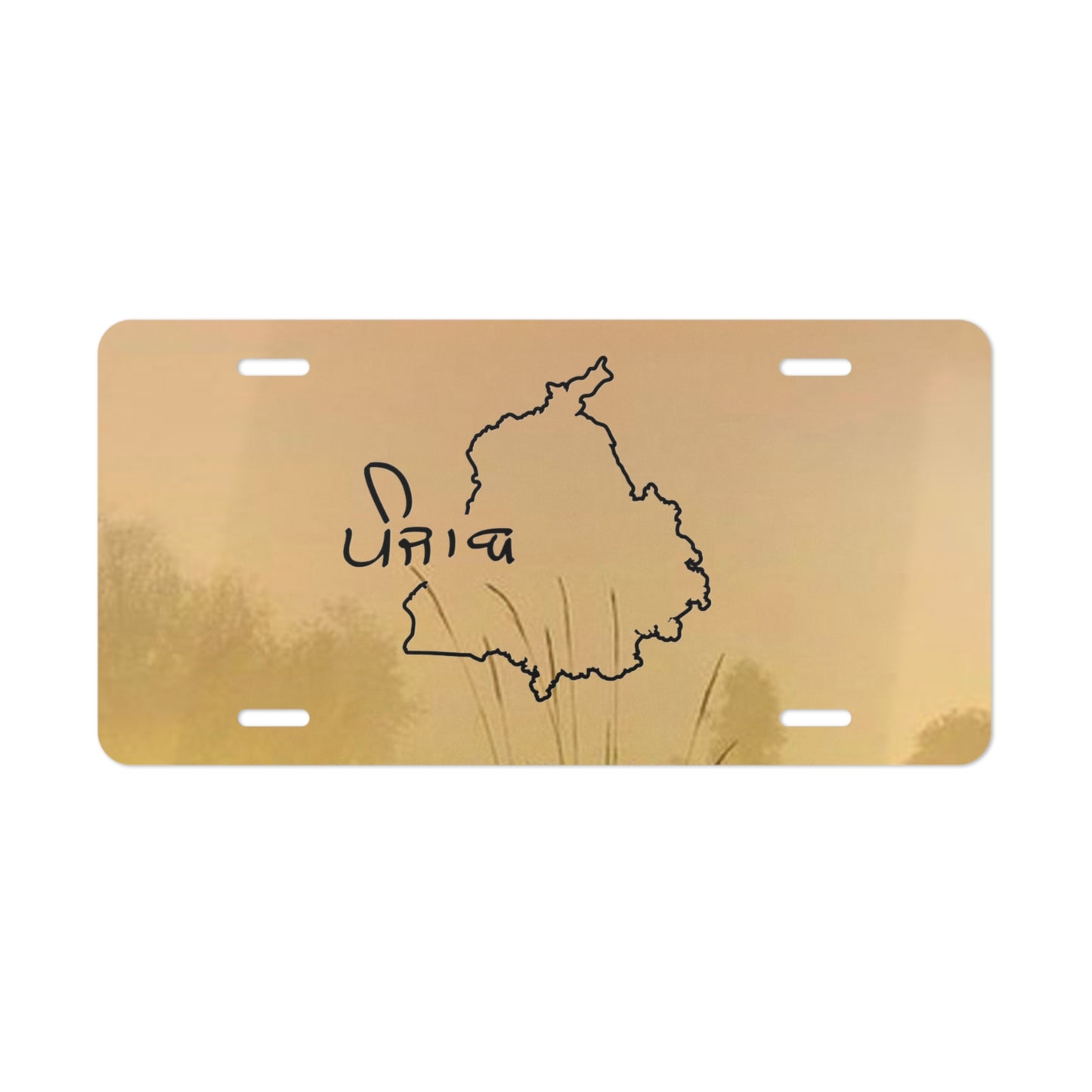 Custom car plate Punjab, Vanity Plate