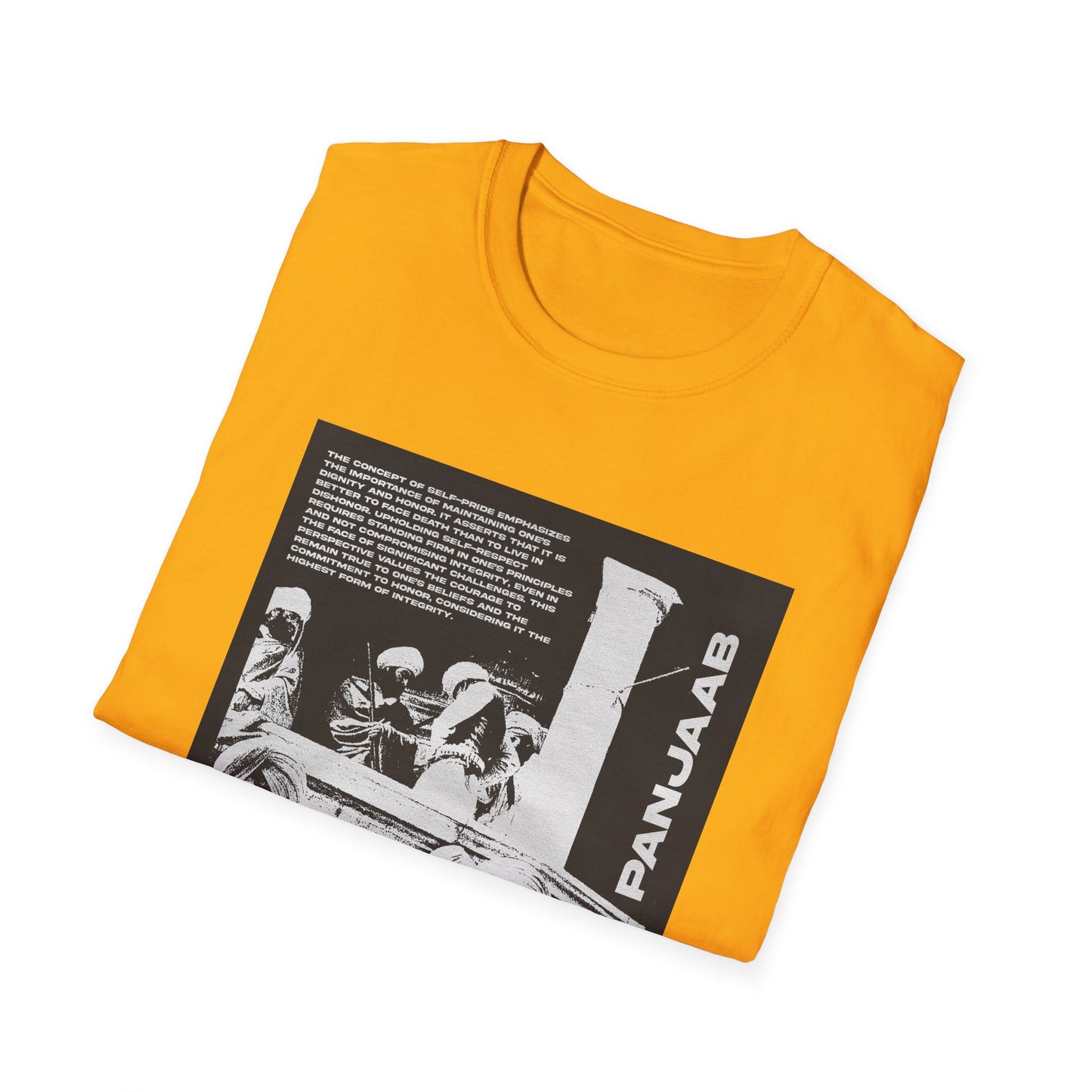 Punjab 1984 T-Shirt  Tribute to Sikh History and Resilience, Sikh History T-Shirt, Punjab 1984 Tribute Design