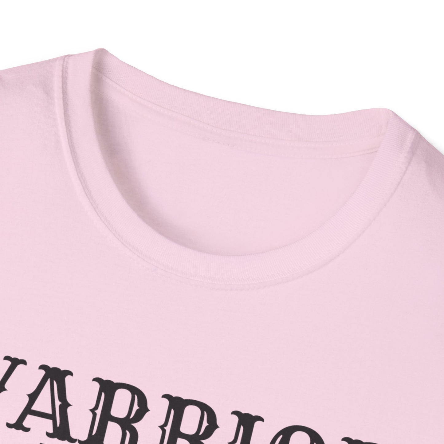 Baba Deep Singh T-Shirt, Sikh punjabi Warrior, Punjabi Tee, Sikh Gift, Unisex Shirt, Punjabi Pride Shirt, Soft Cotton Tee