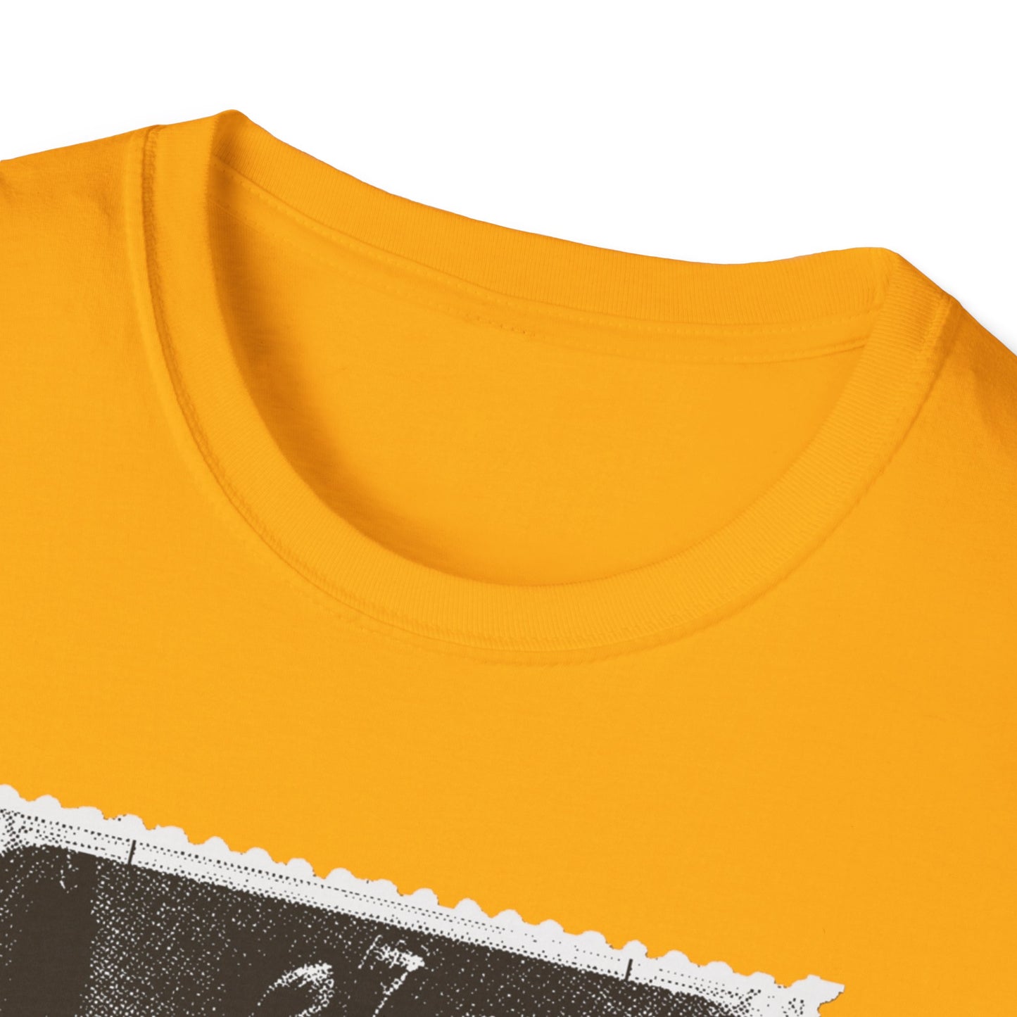 Maharaja Ranjit Singh Unisex T-Shirt, Sikh Punjab Apparel, Sikh Gift, Indian History Shirt, Punjab Pride Tee, Punjabi Culture Top