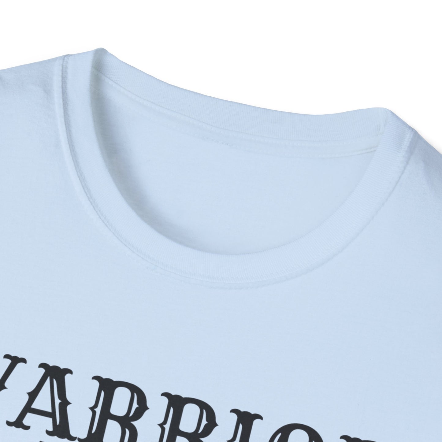 Baba Deep Singh T-Shirt, Sikh punjabi Warrior, Punjabi Tee, Sikh Gift, Unisex Shirt, Punjabi Pride Shirt, Soft Cotton Tee