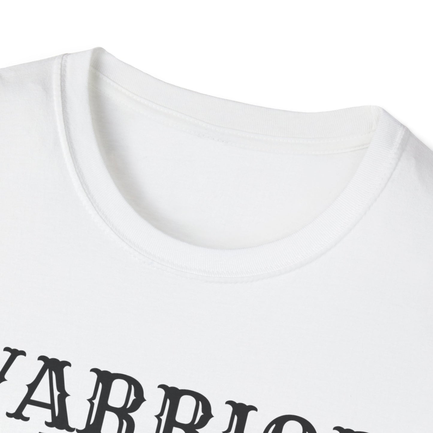 Baba Deep Singh T-Shirt, Sikh punjabi Warrior, Punjabi Tee, Sikh Gift, Unisex Shirt, Punjabi Pride Shirt, Soft Cotton Tee