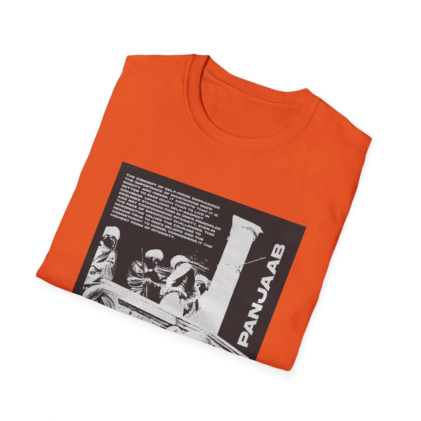 Punjab 1984 T-Shirt  Tribute to Sikh History and Resilience, Sikh History T-Shirt, Punjab 1984 Tribute Design