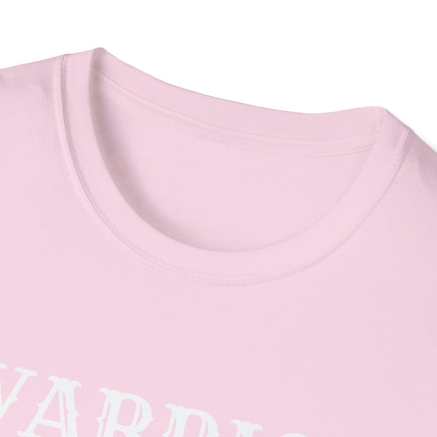 Baba Deep Singh T-Shirt, Sikh punjabi Warrior, Punjabi Tee, Sikh Gift, Unisex Shirt, Punjabi Pride Shirt, Soft Cotton Tee