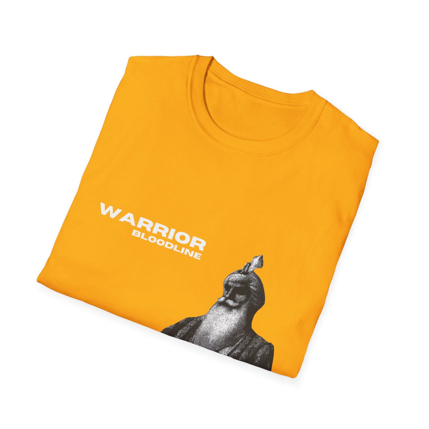 Maharaja Ranjit Singh T-Shirt, Sikh Empire King Design, Sikh Heritage T-Shirt Maharaja Ranjit Singh Tribute