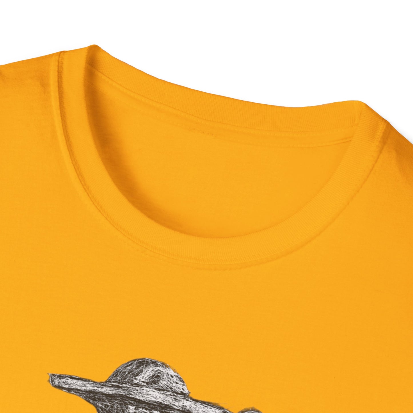 Punjabi Sword Graphic Tee, raj karega khalsa, Unisex Shirt for Sikh Culture Lovers, Indian Pride Gift, Punjab Souvenir,